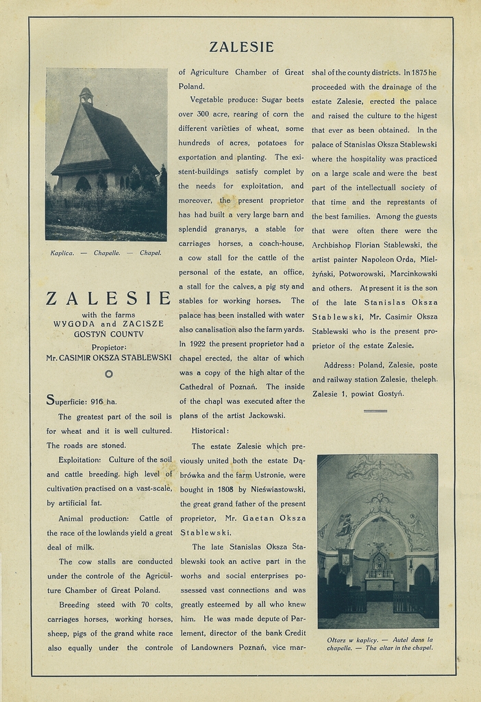214 zalesie.jpg
